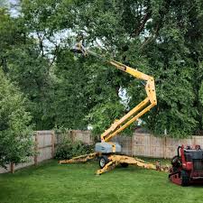 Best Arborist Consultation Services  in Pikeville, KY