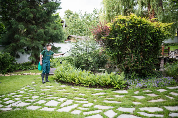 Best Commercial Tree Services  in Pikeville, KY