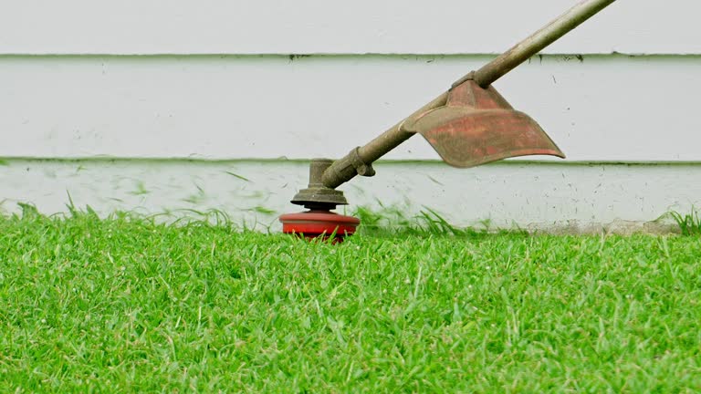 Best Tree and Shrub Care  in Pikeville, KY