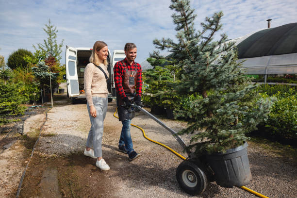 Best Lawn Maintenance Plans  in Pikeville, KY